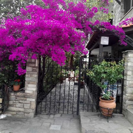 نيوس مارماراس Papatzikos Traditional Guesthouse المظهر الخارجي الصورة