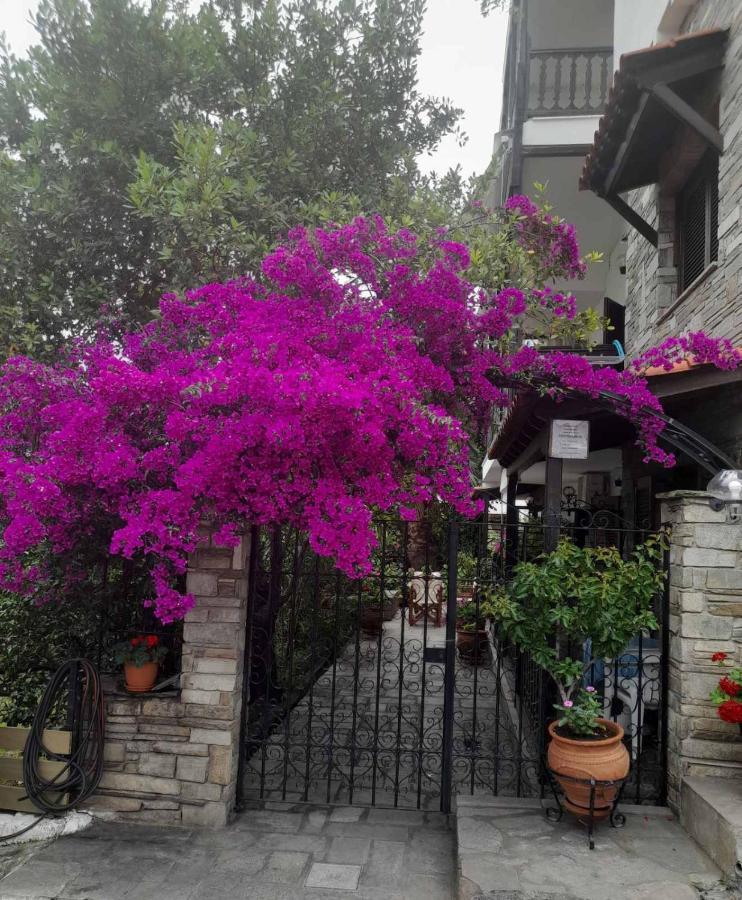 نيوس مارماراس Papatzikos Traditional Guesthouse المظهر الخارجي الصورة